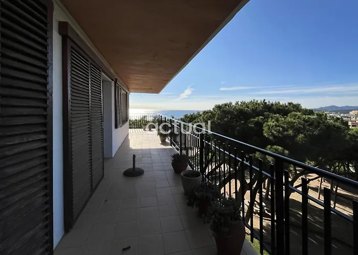 Cavall Bernat 36 Apartamento